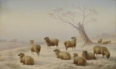 Sheep in Snow, 1880 by Charles Jones